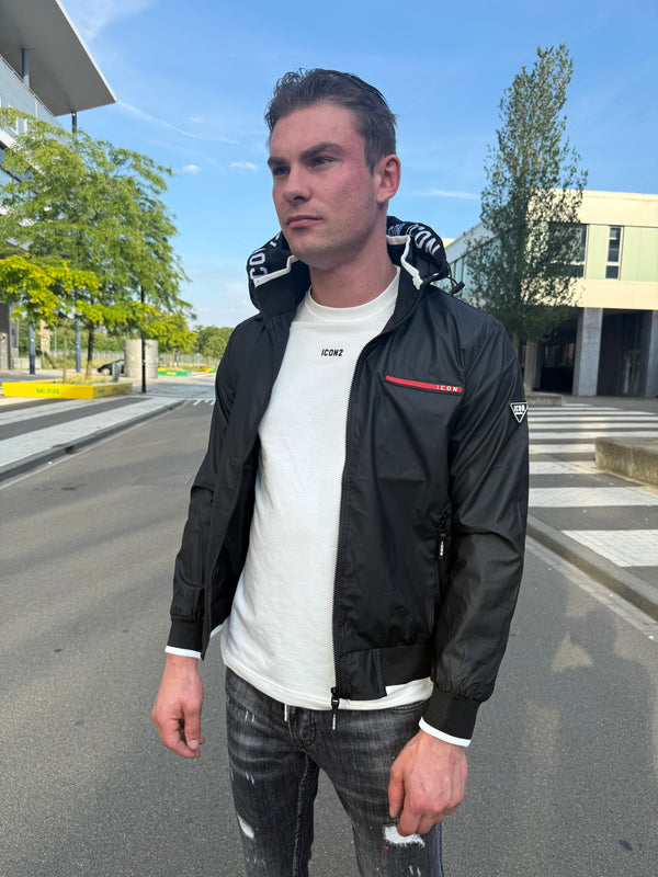 ICON COLLECTIE